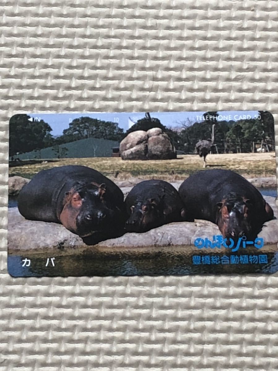 【未使用】テレホンカード　カバ　のんほりパーク　豊橋総合動植物園_画像1