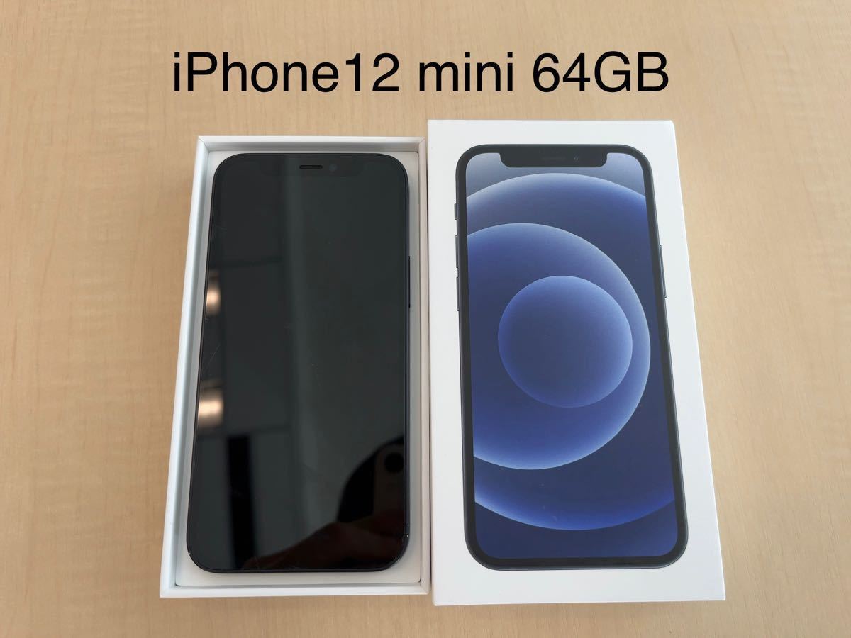 iPhone 12 mini 64GB ブラック SIMフリー - fundacionatenea.org