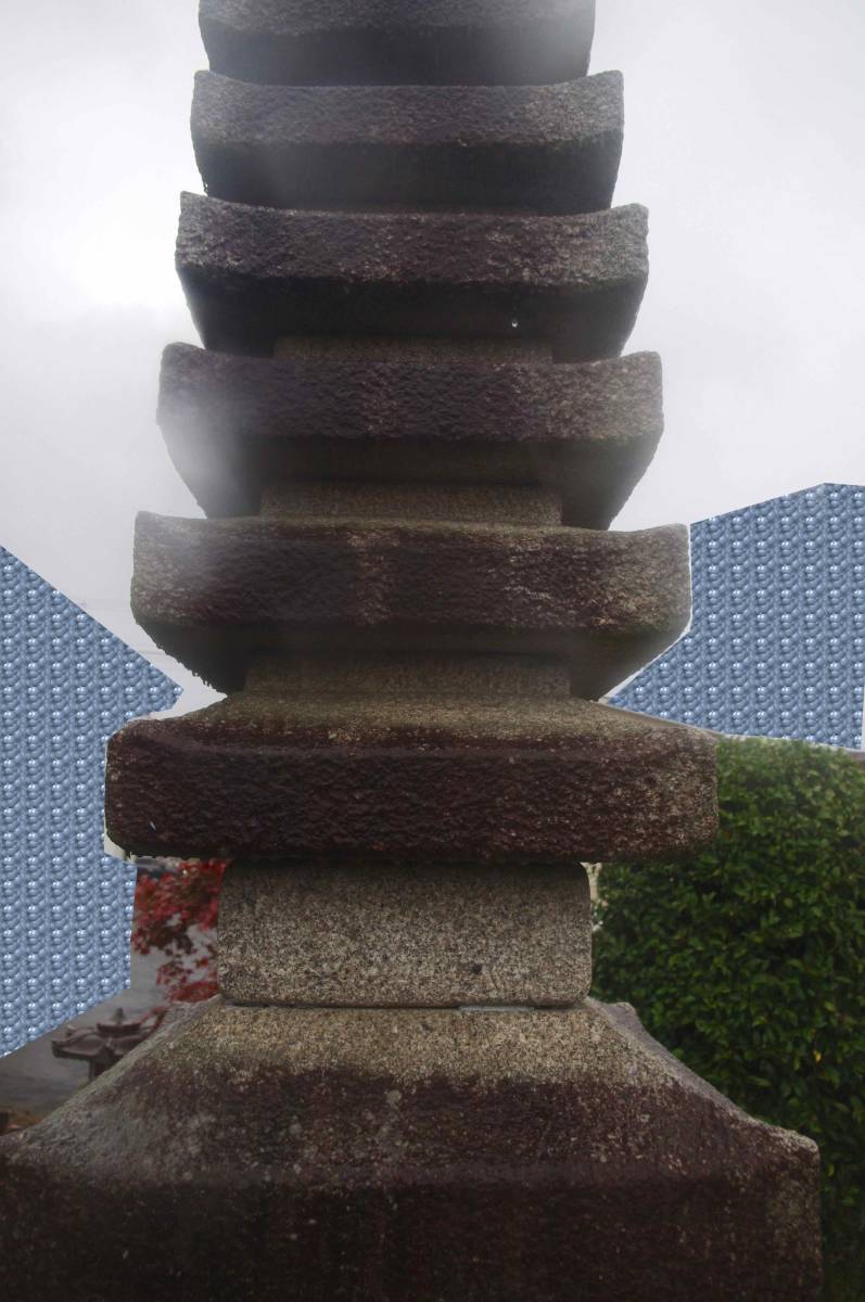 ☆【引取り限定 栃木県鹿沼市】 高さ:約3m25cm程 十一重 ☆【引取り限定 栃木県鹿沼市】 高さ:約3m25cm程 十一重