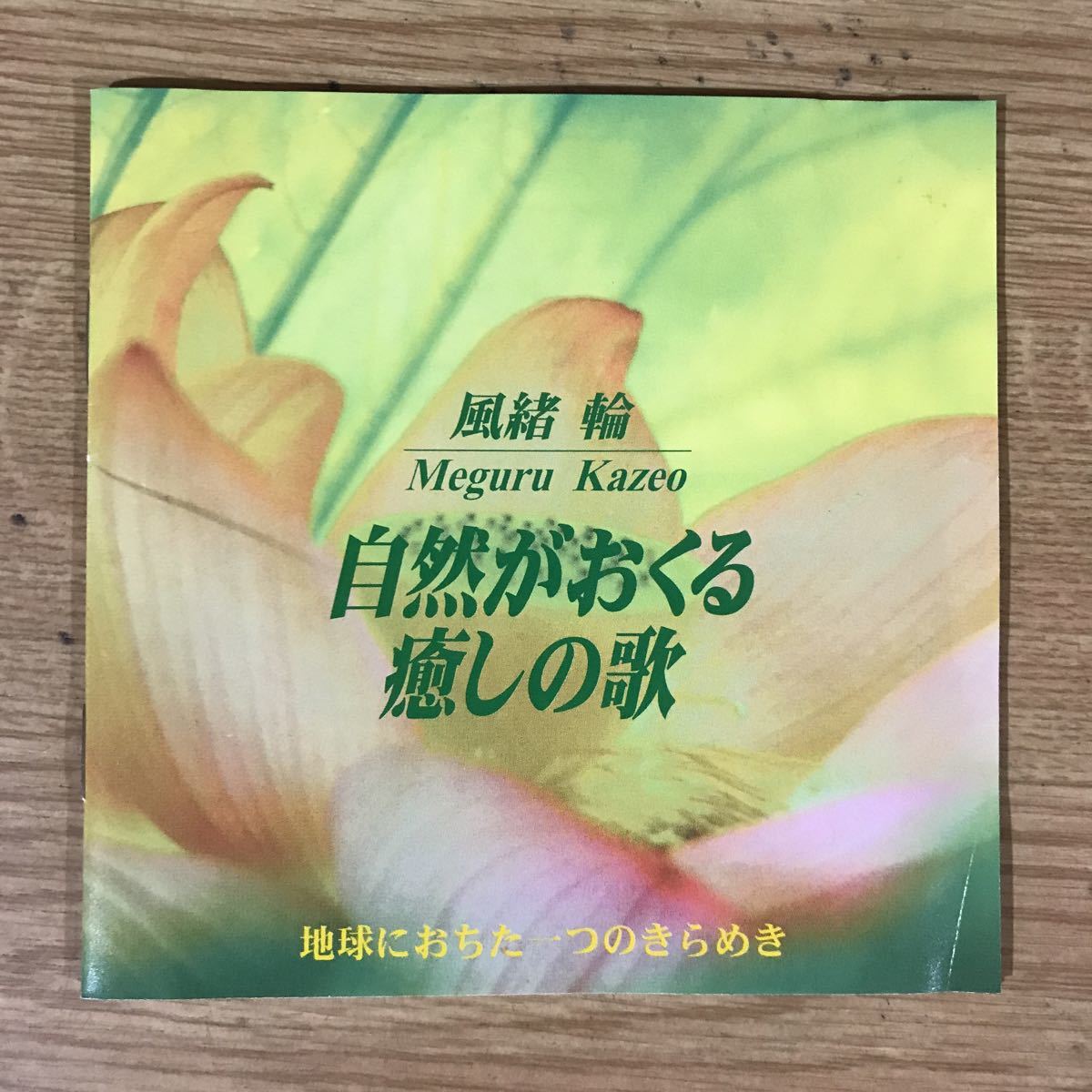E247 中古CD100円 風緒輪　自然がおくる癒しの歌_画像1