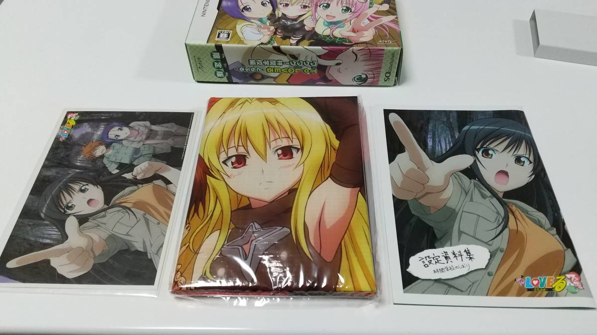 DSソフト ToLOVEる ワクワク!林間学校編 限定版