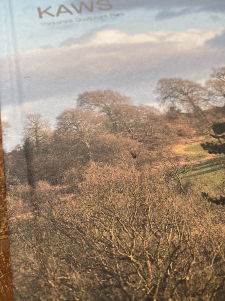 KAWS Catalogue at Yorkshire Sculpture Park 洋書 写真集 KAWS Catalogue at Yorkshire Sculpture Park 洋書 写真集