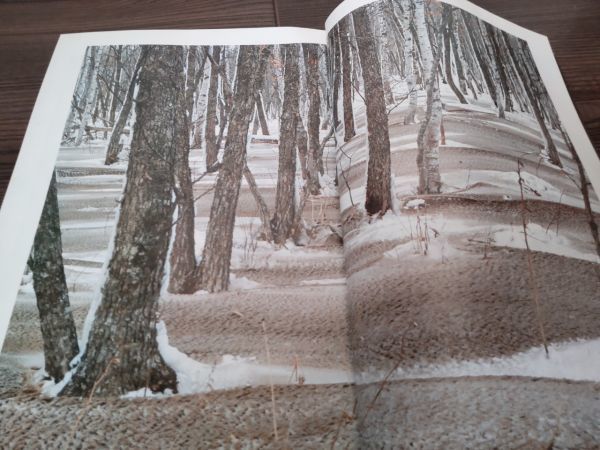 AR-177 Japan camera 1977 year 12 month number Showa era 52 year . spring period Nakamura regular .... secondhand book old book 