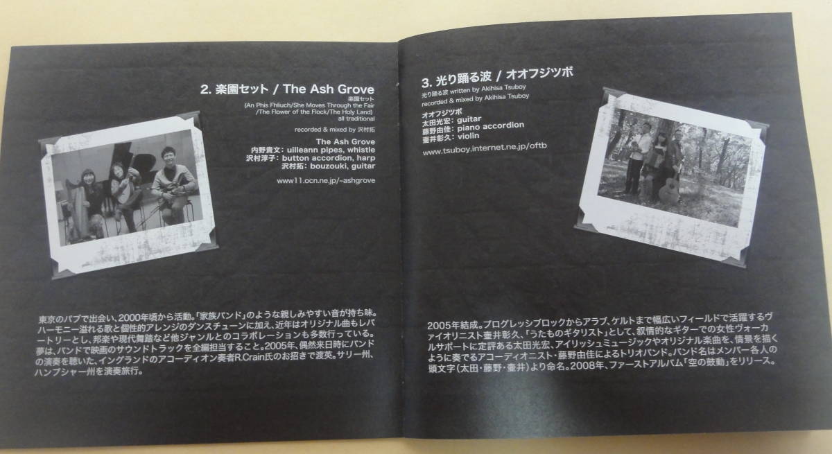 TOKYO IRISH GENERATION V.A CD 　東京アイリッシュミュージック オオフジツボ 五社義明 おおたか静流 O'Jizo