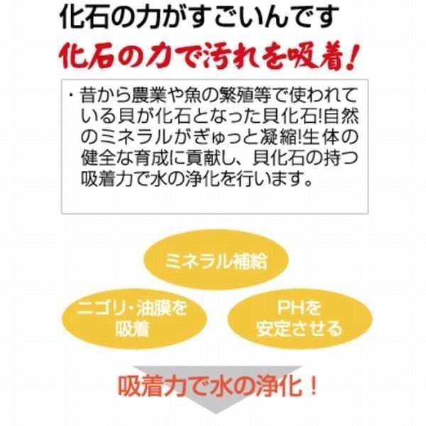 送料550円対応 コトブキ すごいんです化石の力 480mlの画像2