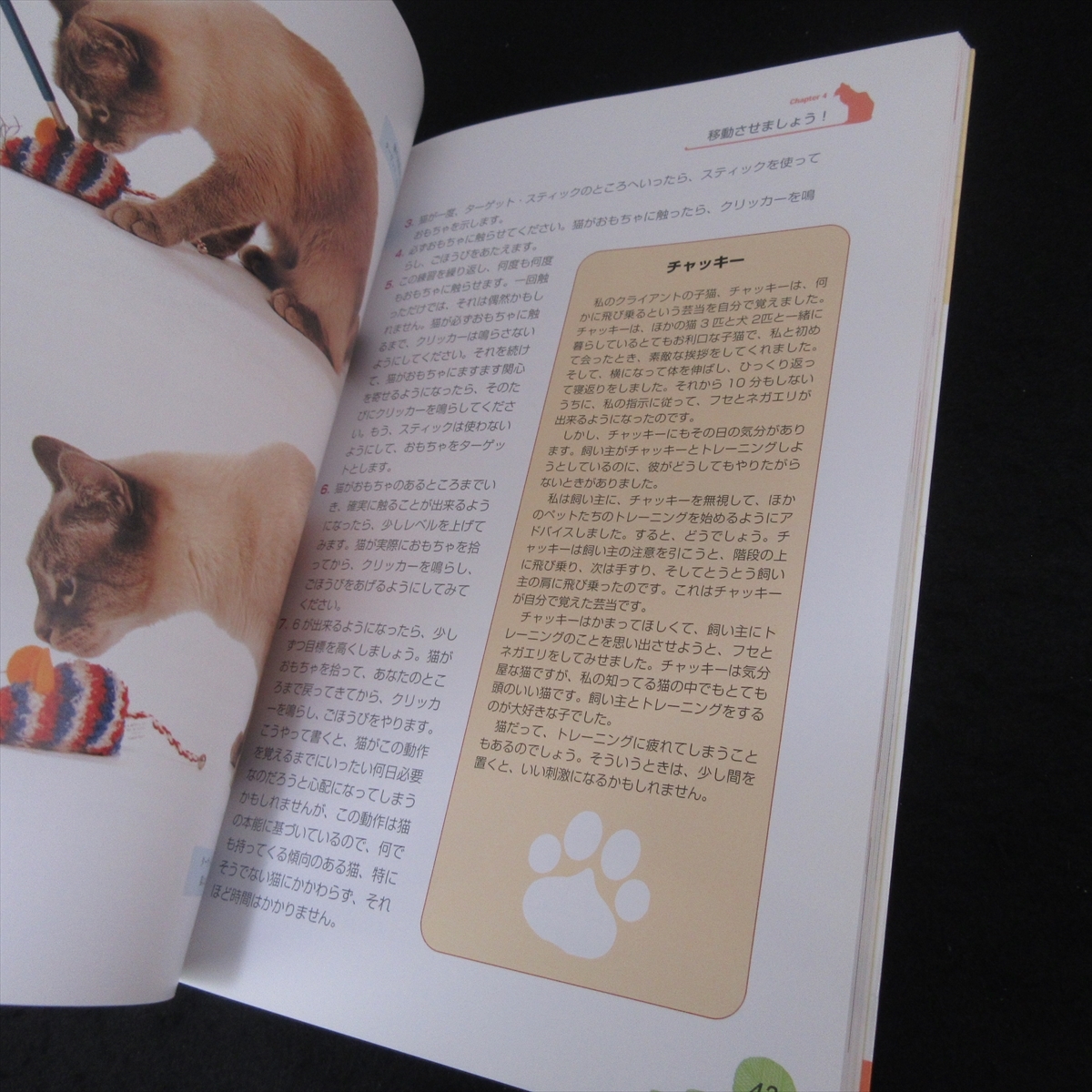  прекрасный товар *книга@[.... кошка .... кошка тренировка ]# отправка 170 иен Miriam *fi-ru Zoo babino домашнее животное жизнь фирма 1 день 10 минут воспитание прогулка .*