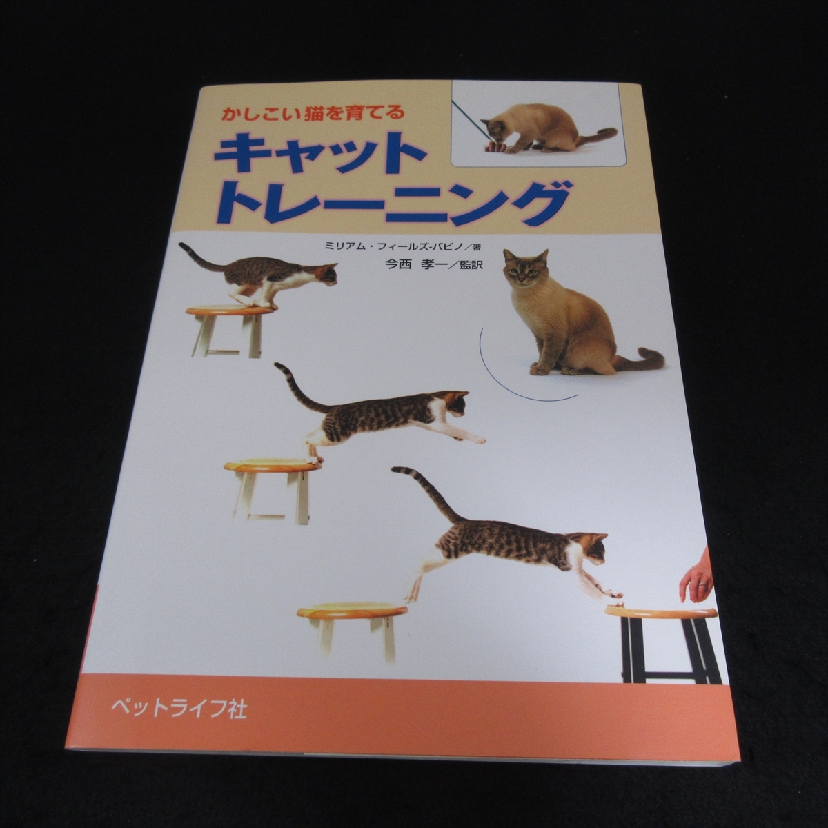  прекрасный товар *книга@[.... кошка .... кошка тренировка ]# отправка 170 иен Miriam *fi-ru Zoo babino домашнее животное жизнь фирма 1 день 10 минут воспитание прогулка .*