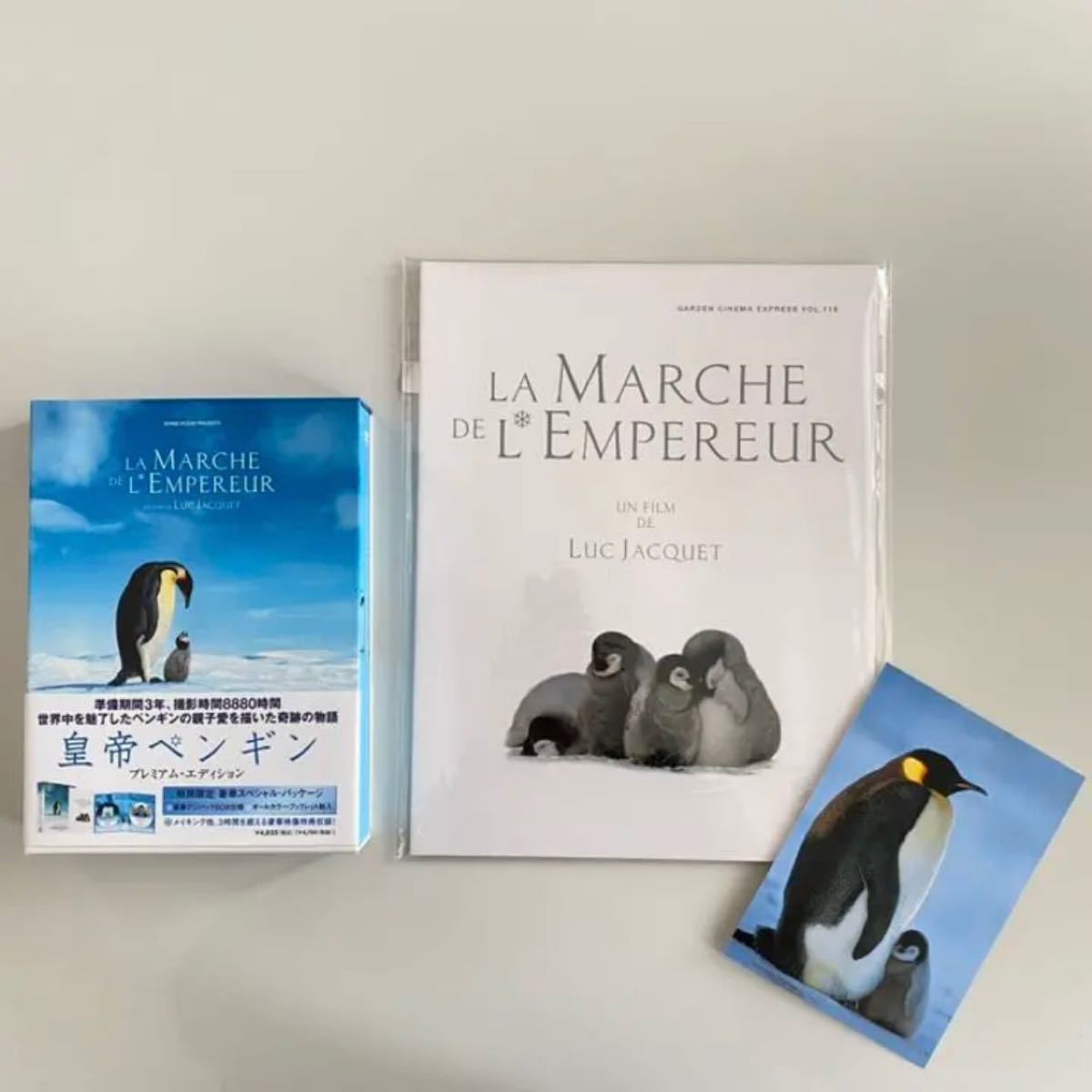 洋画DVD「皇帝ペンギン プレミアムエディション」('05仏)・パンフレット・ペンギンのポストカード　北極　ドキュメンタリー