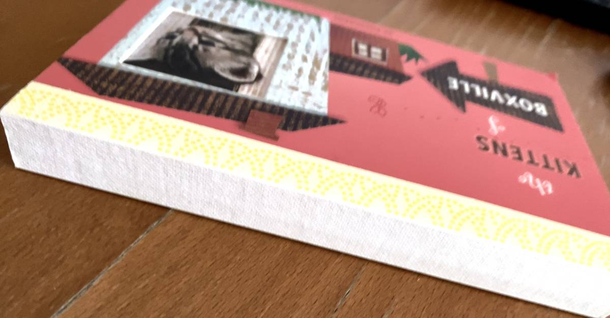 送料無料 洋書 かわいいキャットハウスと子猫たちのポストカード30種 the KITTENS of BOXVILLE POATCARDS_画像5