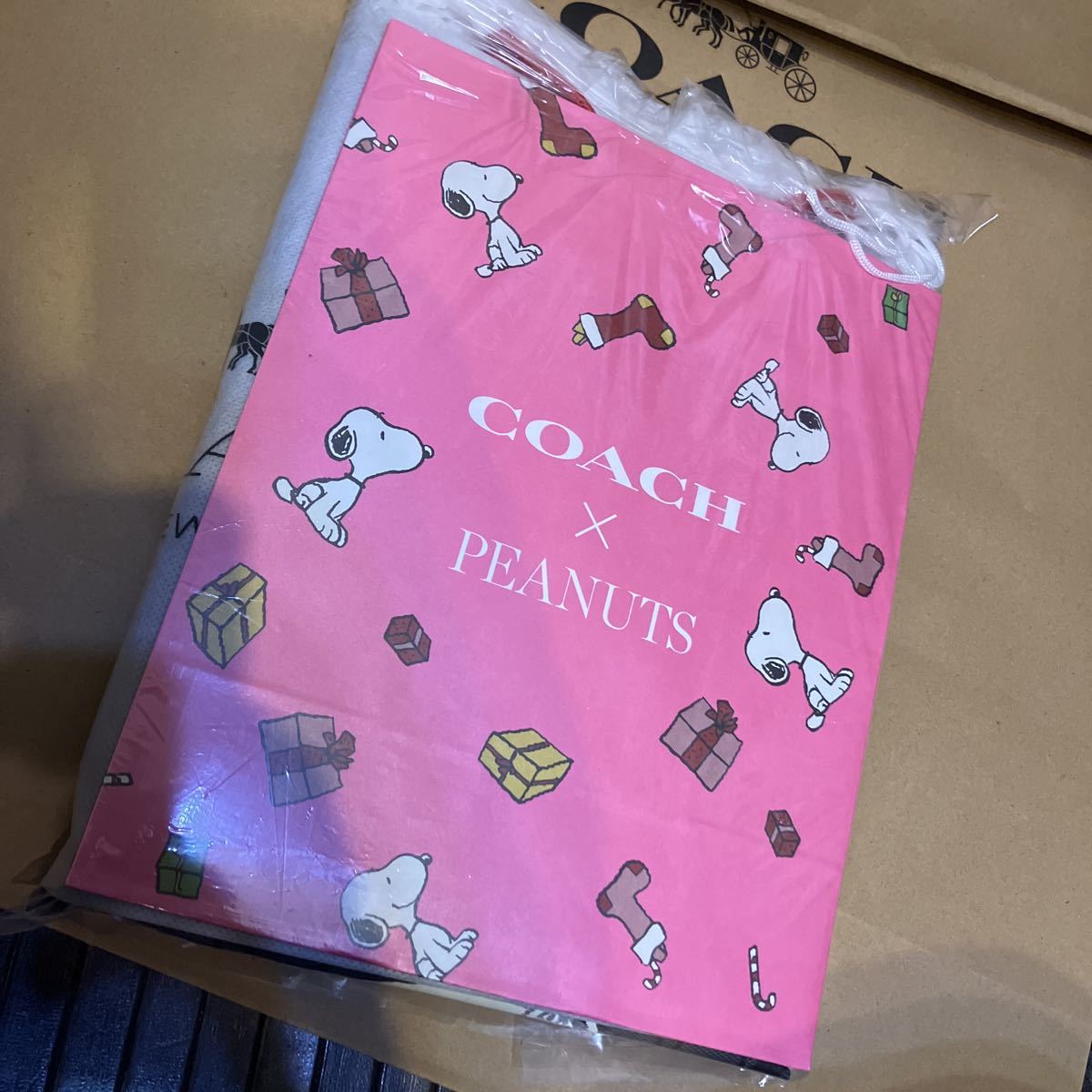 送料込専用袋付●新品●価40700 COACH X PEANUTS スヌーピー Tシャツ Lサイズ シグネチャープリント 2022.10新作 ピーナッツ コーチ_画像10