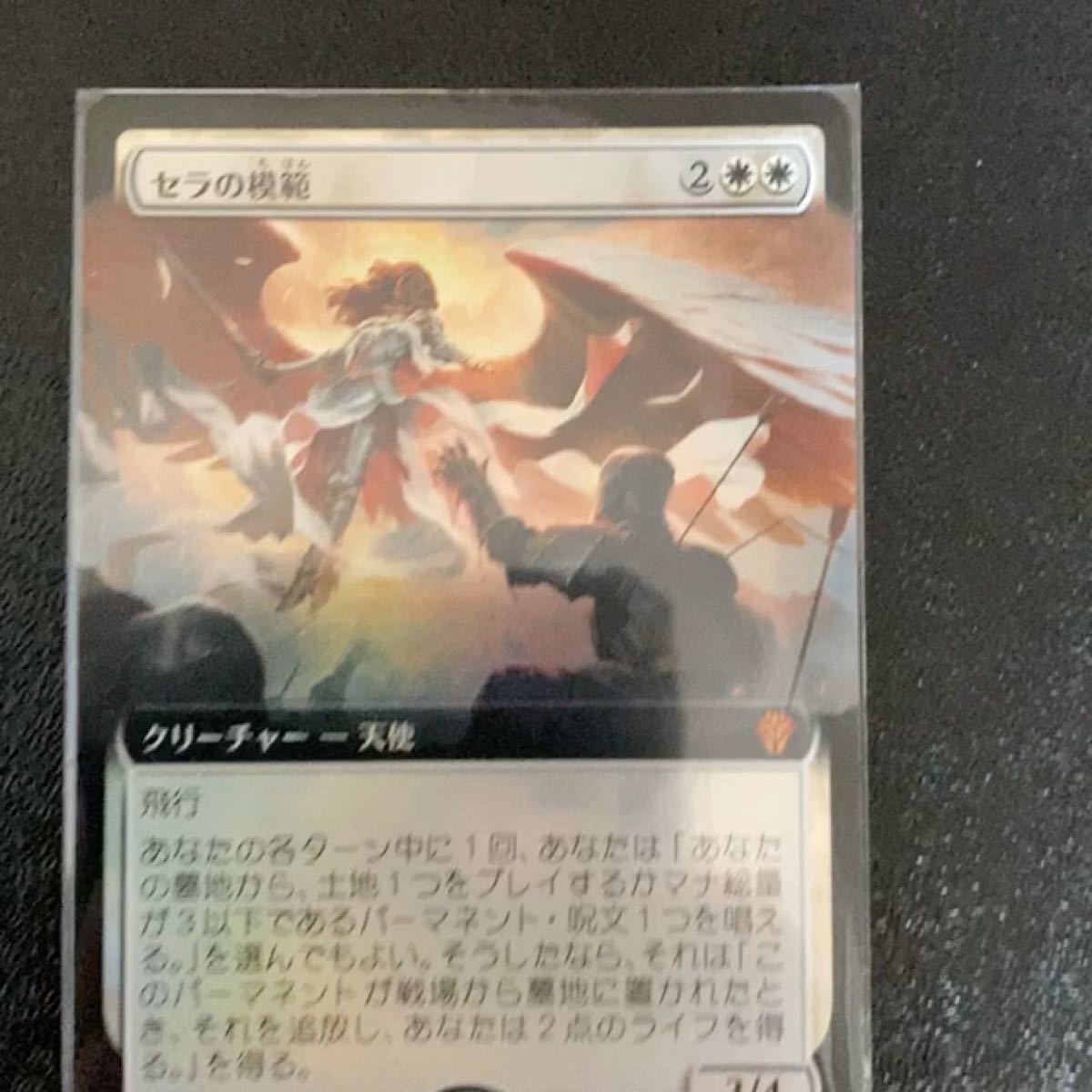 MTG☆平地 セラの天使 DouglasShuler サインド 拡張アート | veranstaltungen.lkz.de