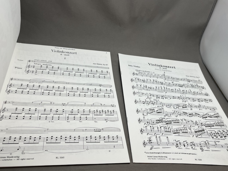 # скрипка музыкальное сопровождение # Violin-Konzert d-Moll D-moll op.47 for Violine und Klavier SIBELIUSsibe Rius 