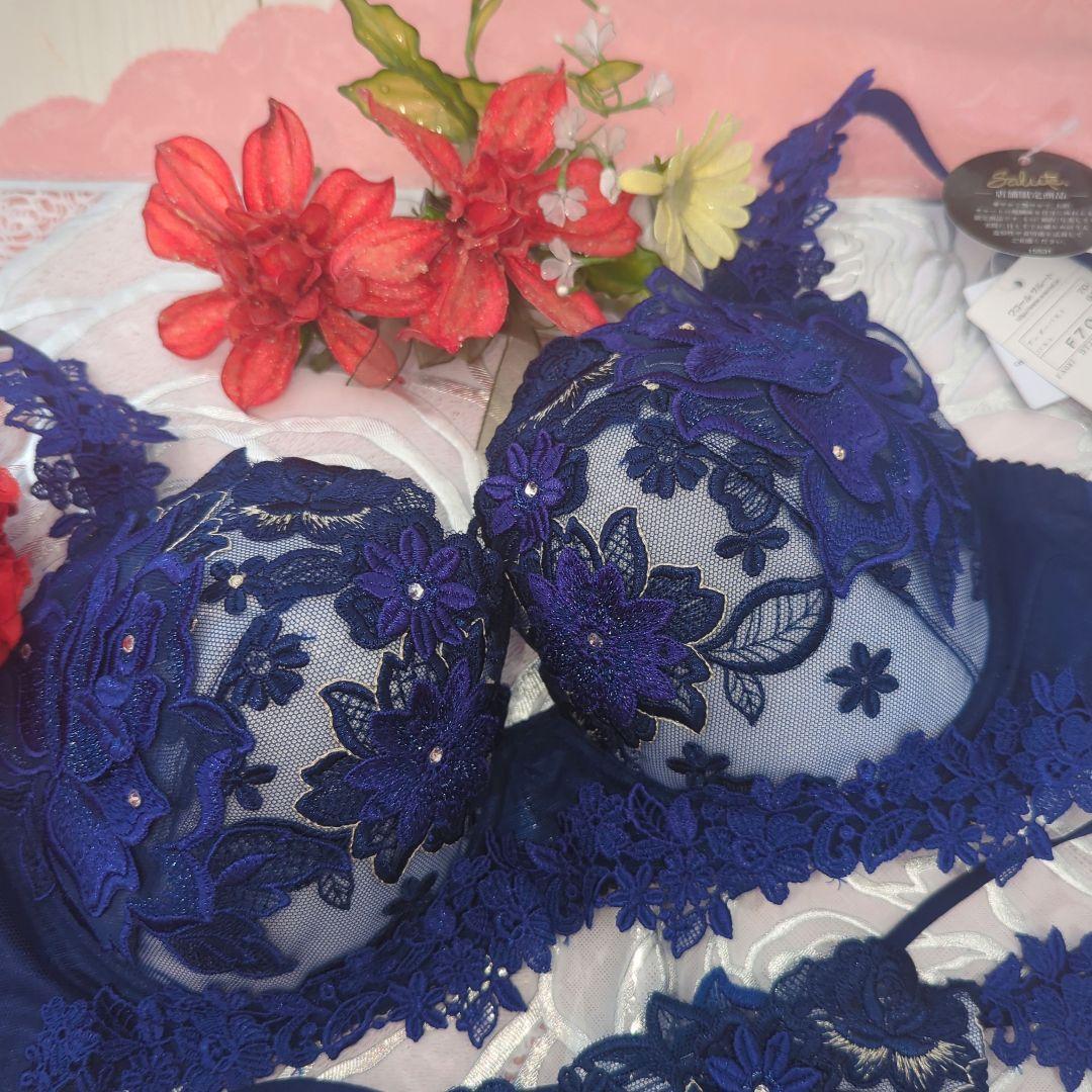 Wacoal/ワコール/salute/サルート/店舗限定/88G/ブリジット/F70&