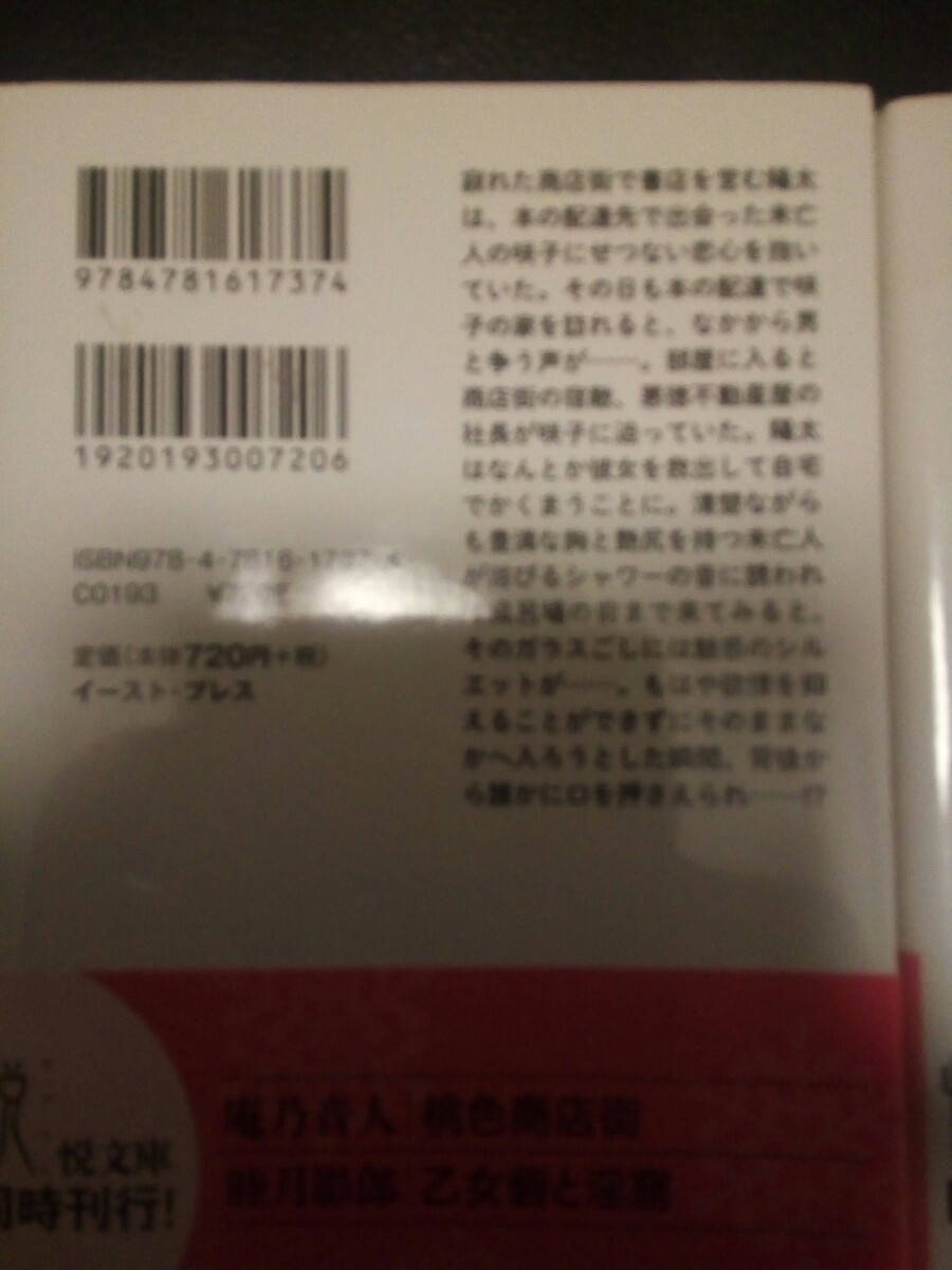 官能小説 セット 文庫  桃色シリーズ/庵乃 音人 