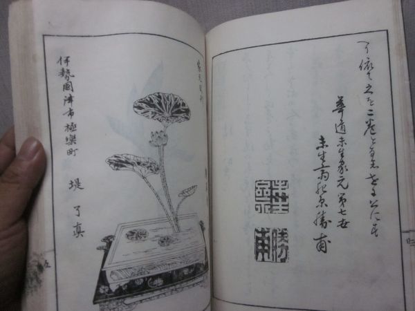  старинная книга мир книга@. цветок . дорога Meiji 41 год .. большое количество .... живые цветы ..книга