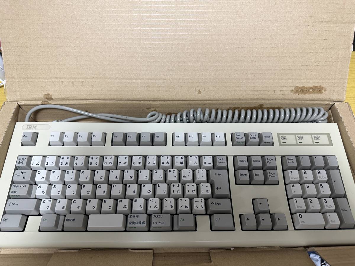 ストライプ デザイン/Striipe design IBM 5576-A01 バックリング