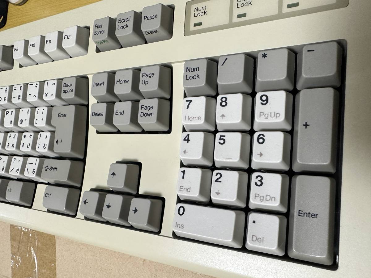 ストライプ デザイン/Striipe design IBM 5576-A01 バックリング