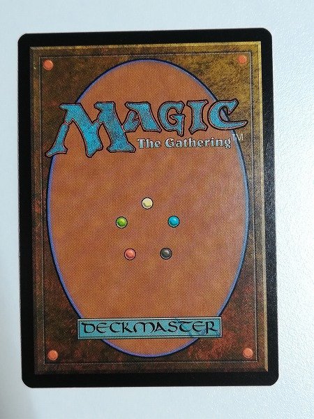 完璧 MTG 果敢な勇士リン シヴィー 日本語版 foil drenriquejmariani.com