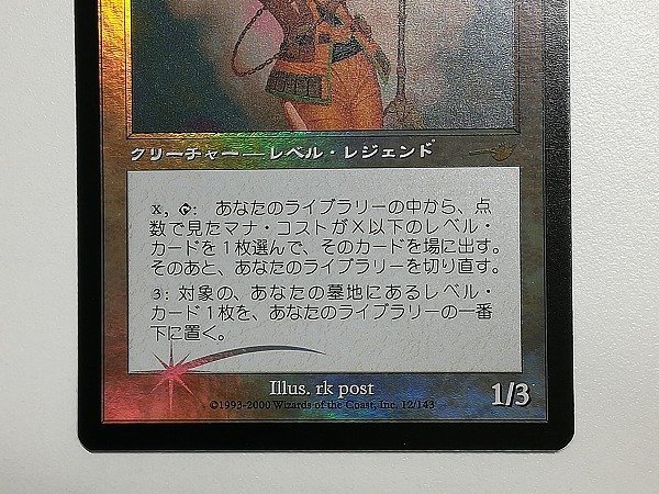 完璧 MTG 果敢な勇士リン シヴィー 日本語版 foil drenriquejmariani.com