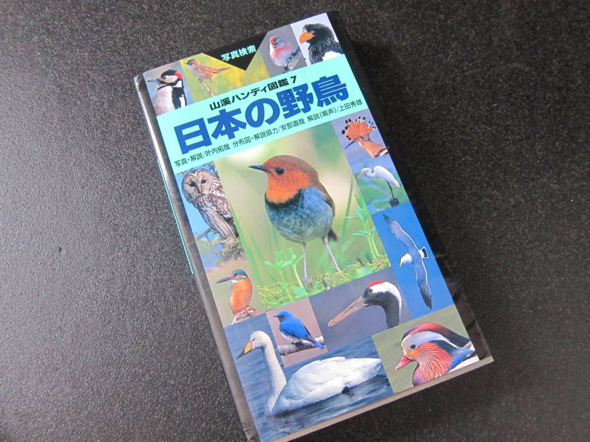 決定版 日本の野鳥590 山渓ハンディ図鑑7 日本の野鳥 バード