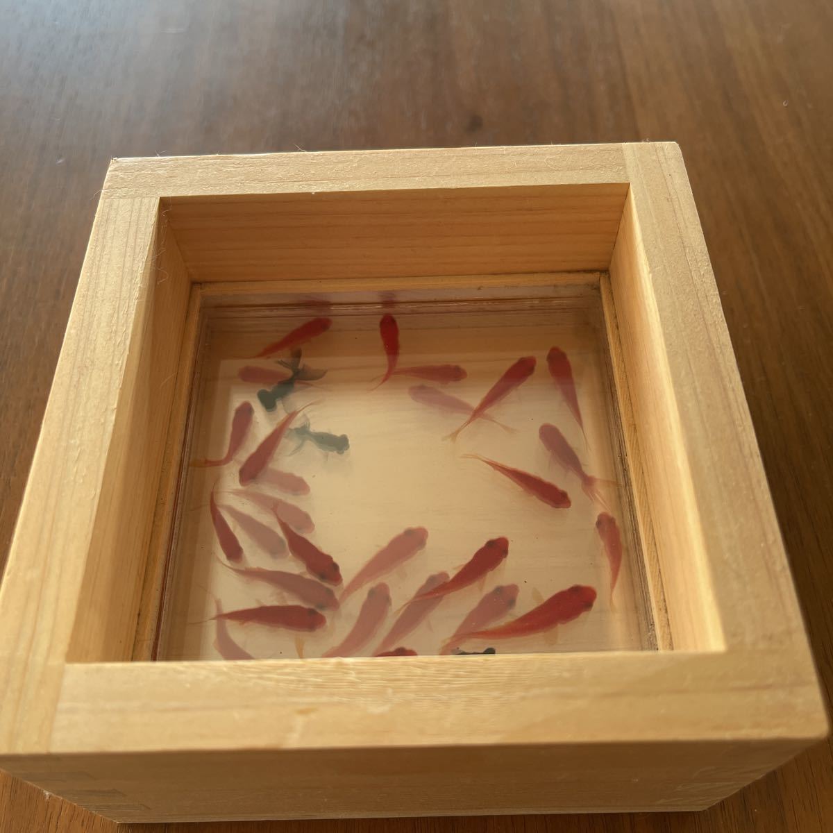 金魚アート 日本製 - lazzarimacchine.it
