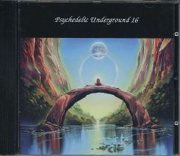 【新品CD】 VARIOUS / Psychedelic underground 16_画像1