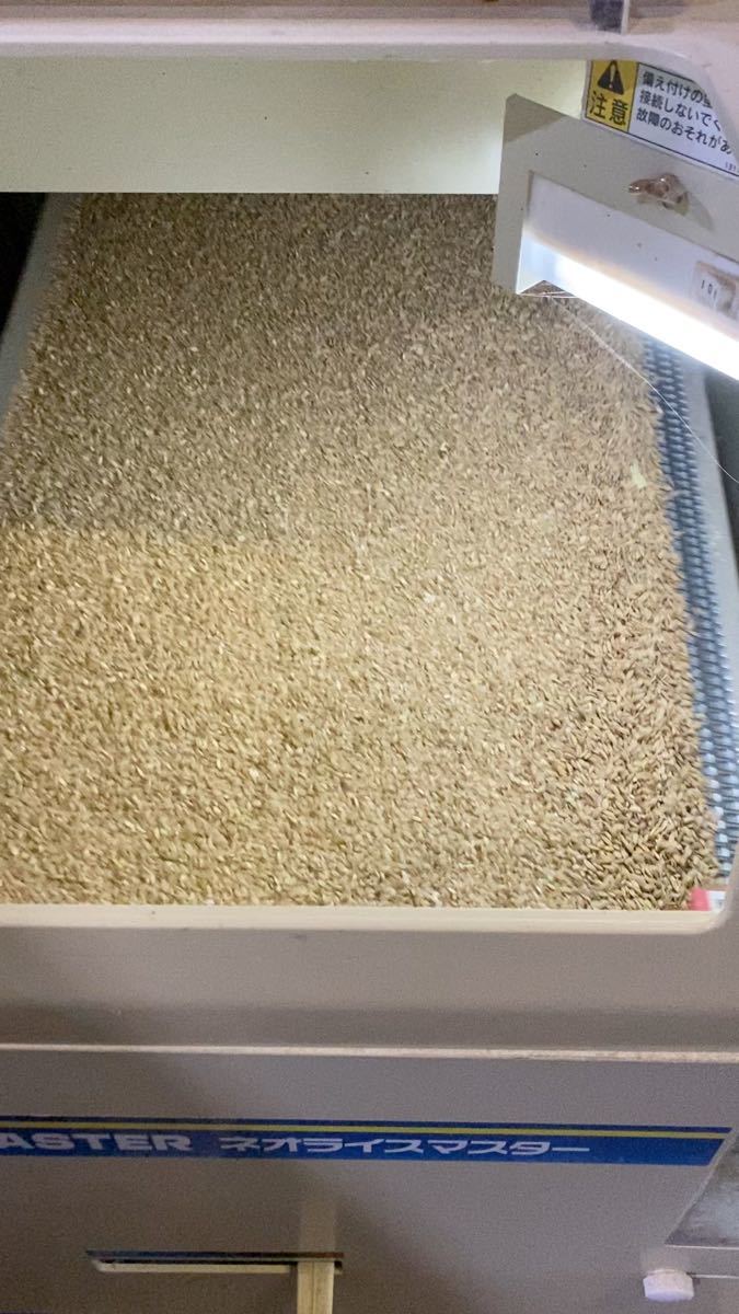 高速配送 新米 棚田 幻のハイブリッド 大粒 酵素米 お米 玄米20ｋｇ 無洗米に精米