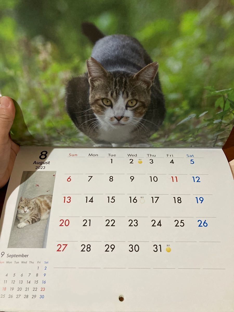 地域猫カレンダー2023＆ドリップコーヒー1袋付