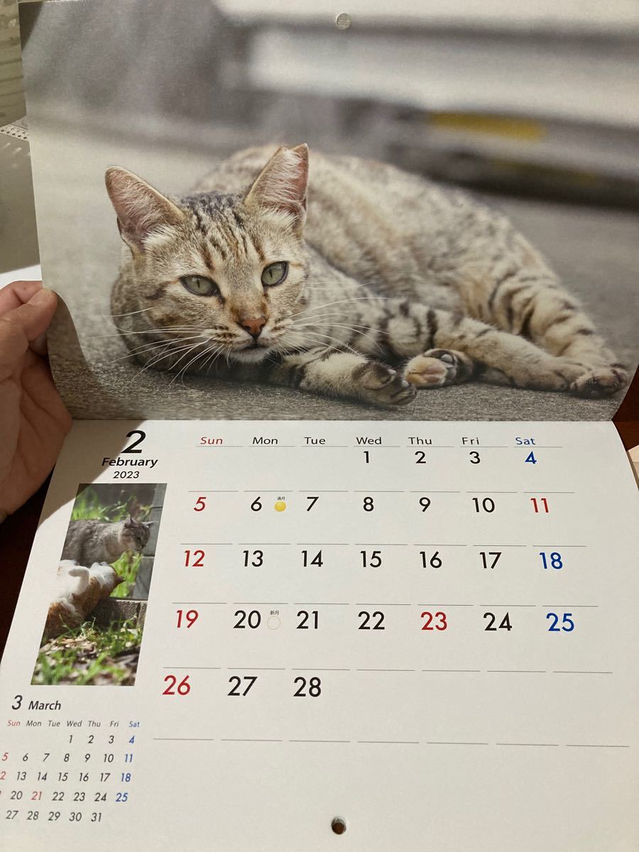 地域猫カレンダー2023＆ドリップコーヒー1袋付