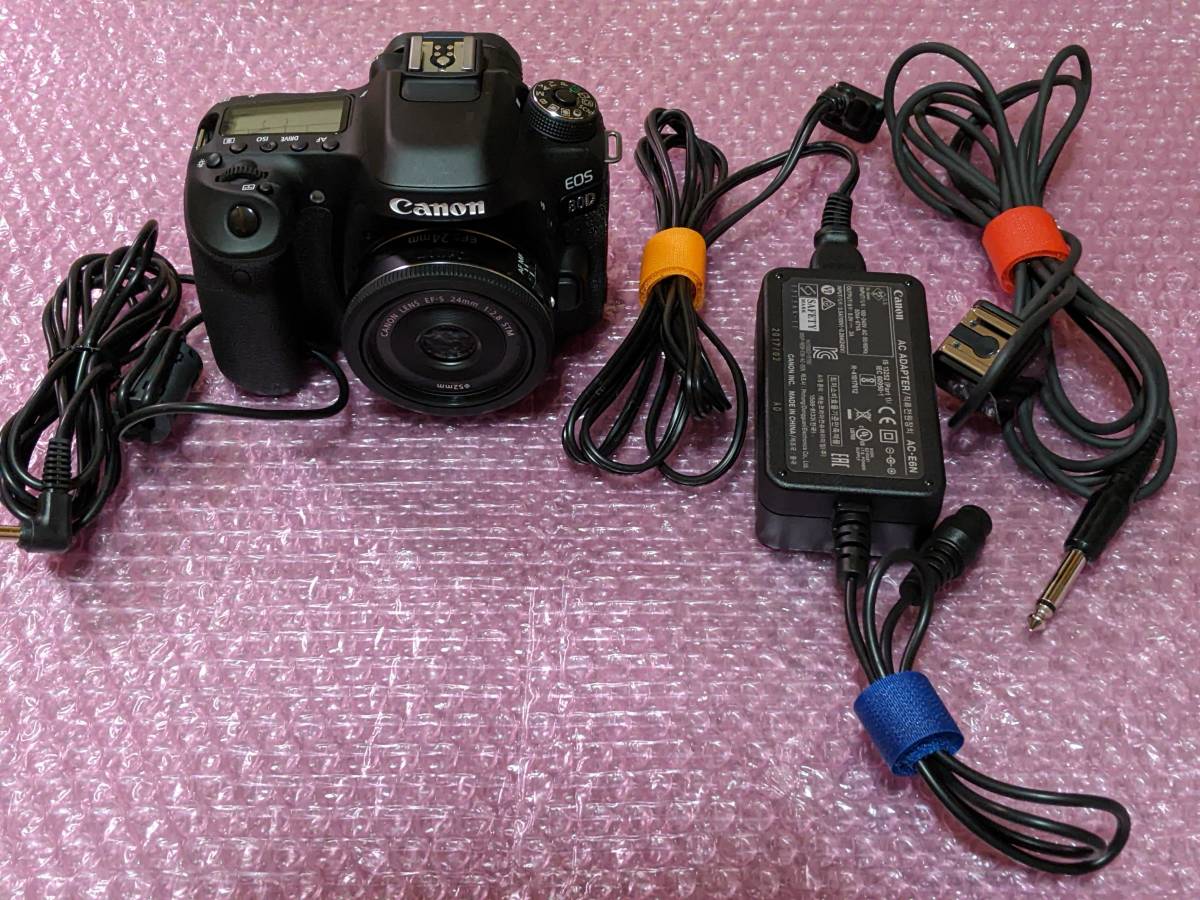 Canon EOS 80D EFS 24mm ACアダプターAC-E6N セット 特殊部隊 lagoa.pb