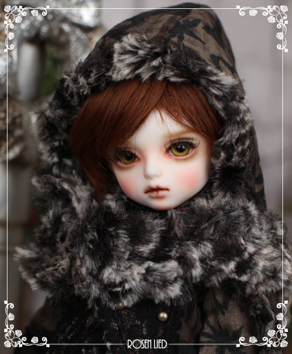 Rosen lied Tuesday's Child Limited Sage - Winter story 　ローゼンリード_画像2