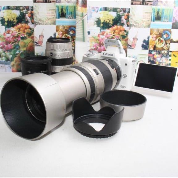 カメラ デジタルカメラ Canon EOS KISS X5 望遠・標準レンズ、バッグ、予備バッテリセット 