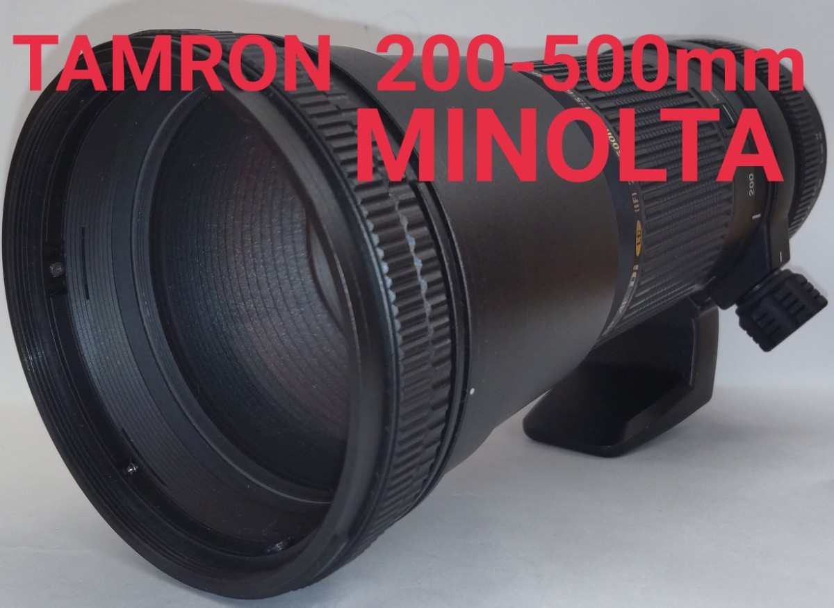 クモリもな TAMRON - 超望遠ズーム TAMRON SP 200-500mm F5-6.3 Diの
