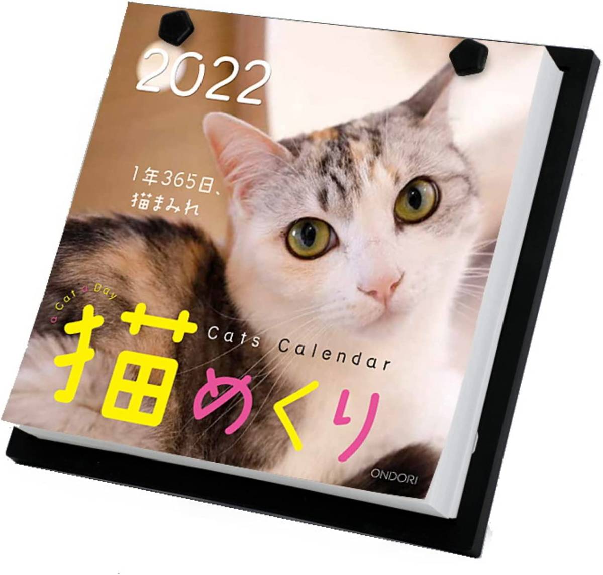　　 猫めくり 2022年 カレンダー 日めくり CK-C22-01　　シーオーツー　台座付き_画像3