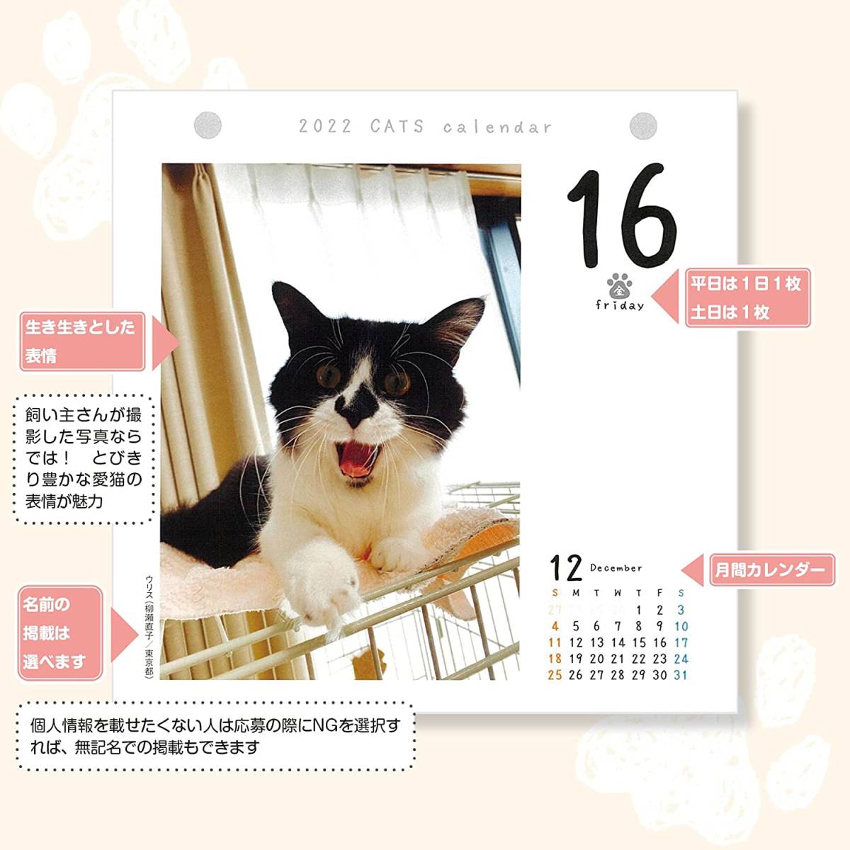 　　 猫めくり 2022年 カレンダー 日めくり CK-C22-01　　シーオーツー　台座付き_画像2