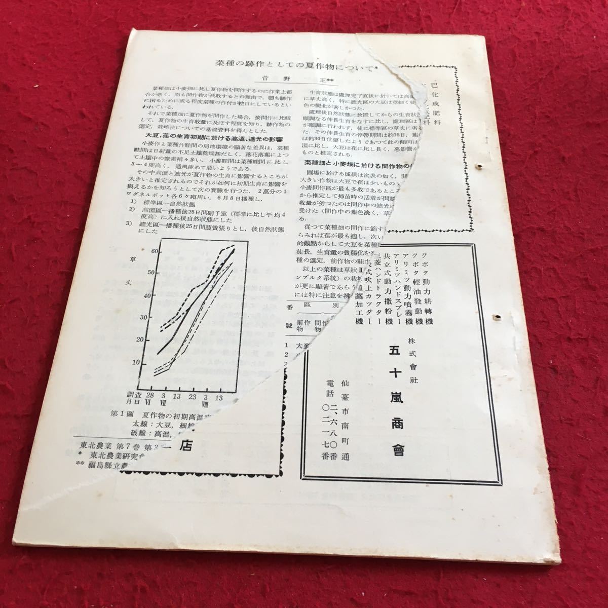 Z14-042 東北農業 昭和28年発行 塗りつぶし有り 東北農業研究会 破れ有り マッシュルーム 馬鈴薯 緑族集団 青狩作物栽培 受賞者 など_破れ有り