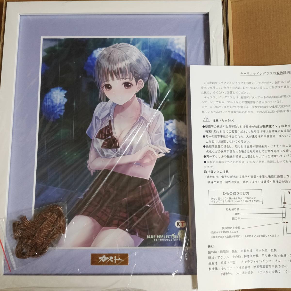 BLUE REFLECTION TIE/帝 ゲーマーズ超限定版特典 描き下ろしA4キャラファイングラフ 靭こころ ブルーリフレクション ブルリフ PS4 Switch