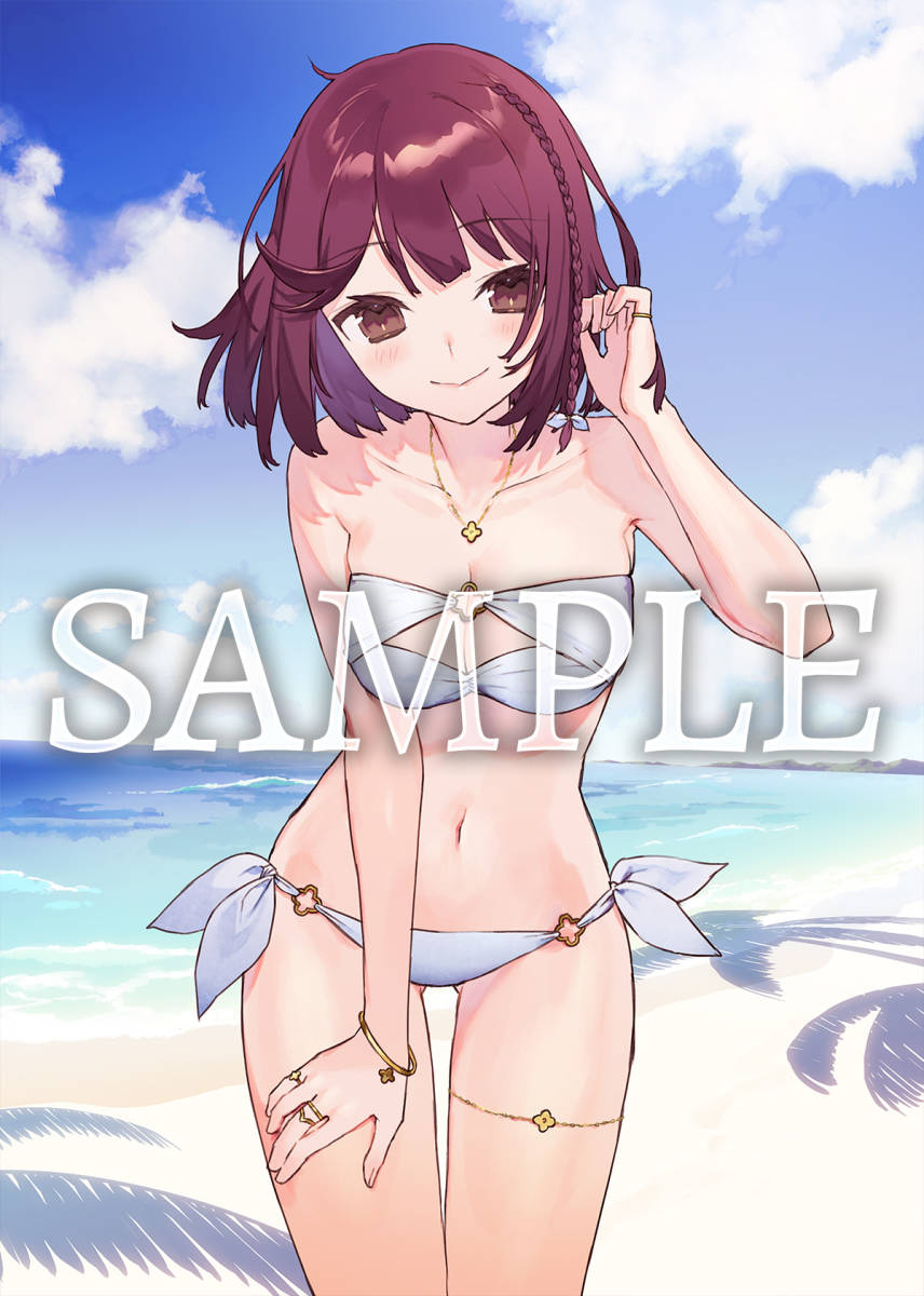 ソフィーのアトリエ2 不思議な夢の錬金術士 ゲーマーズ超限定版特典 描き下ろしA4キャラファイングラフ 水着 PS4 Switch Atelier Sophie 2 コレクション、趣味 テレビ、アニメ、キャラクターグッズ