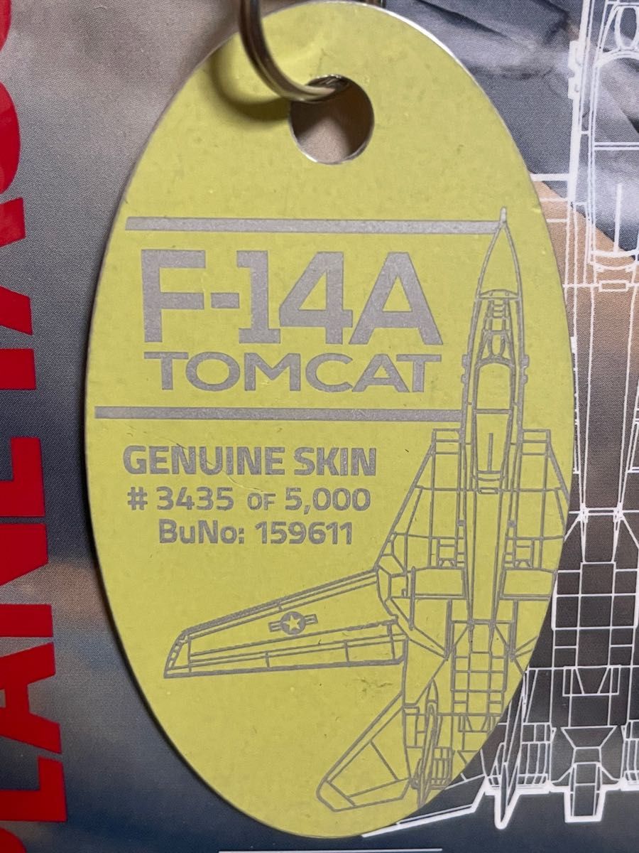 F-14A Tomcat PLANETAGS Interior Green