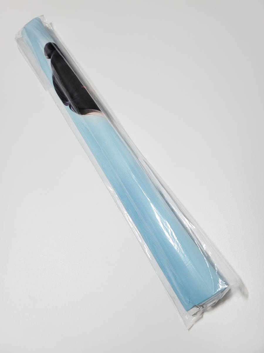 mignon B2Wスエードタペストリー 水泳部【mignon ONLYSHOP perky】メロンブックス うりぼうざっか店