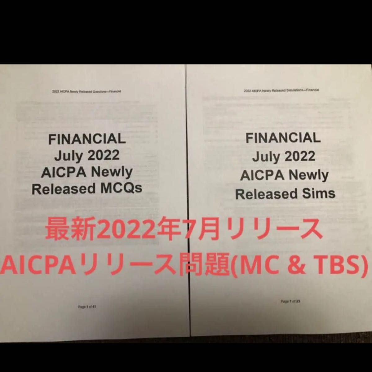 ★最新版Ver5.0★2022年受験用 米国公認会計士 FAR「合格のための仕訳集」USCPA 新品未使用 豪華おまけ特典多数 !