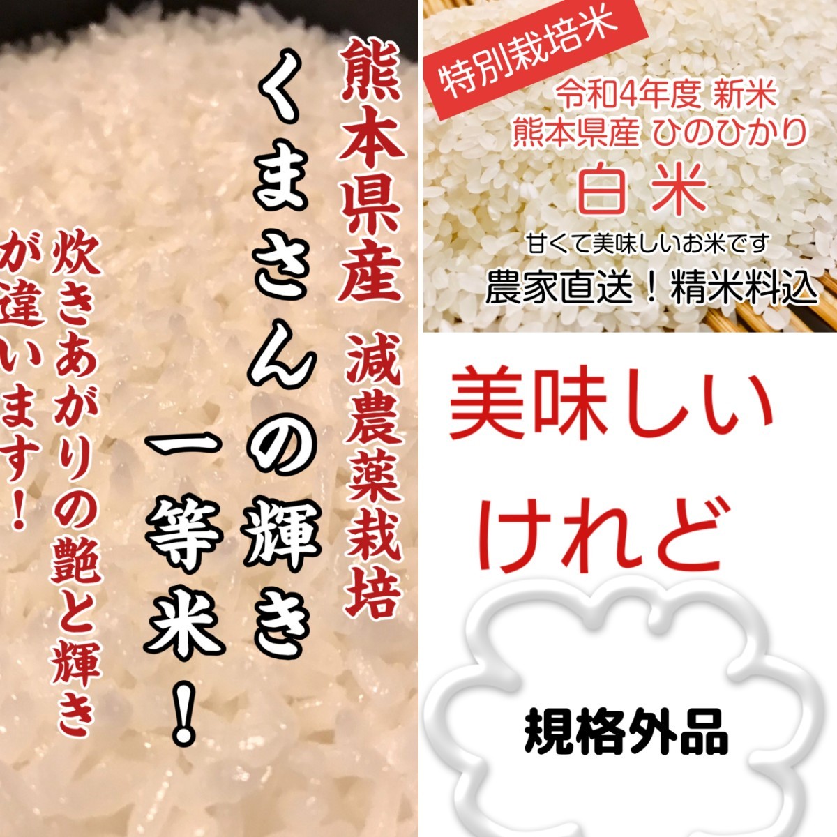 農家の美味しいお米   玄米2０ｋｇ　令和４年産　（分づき精米可)