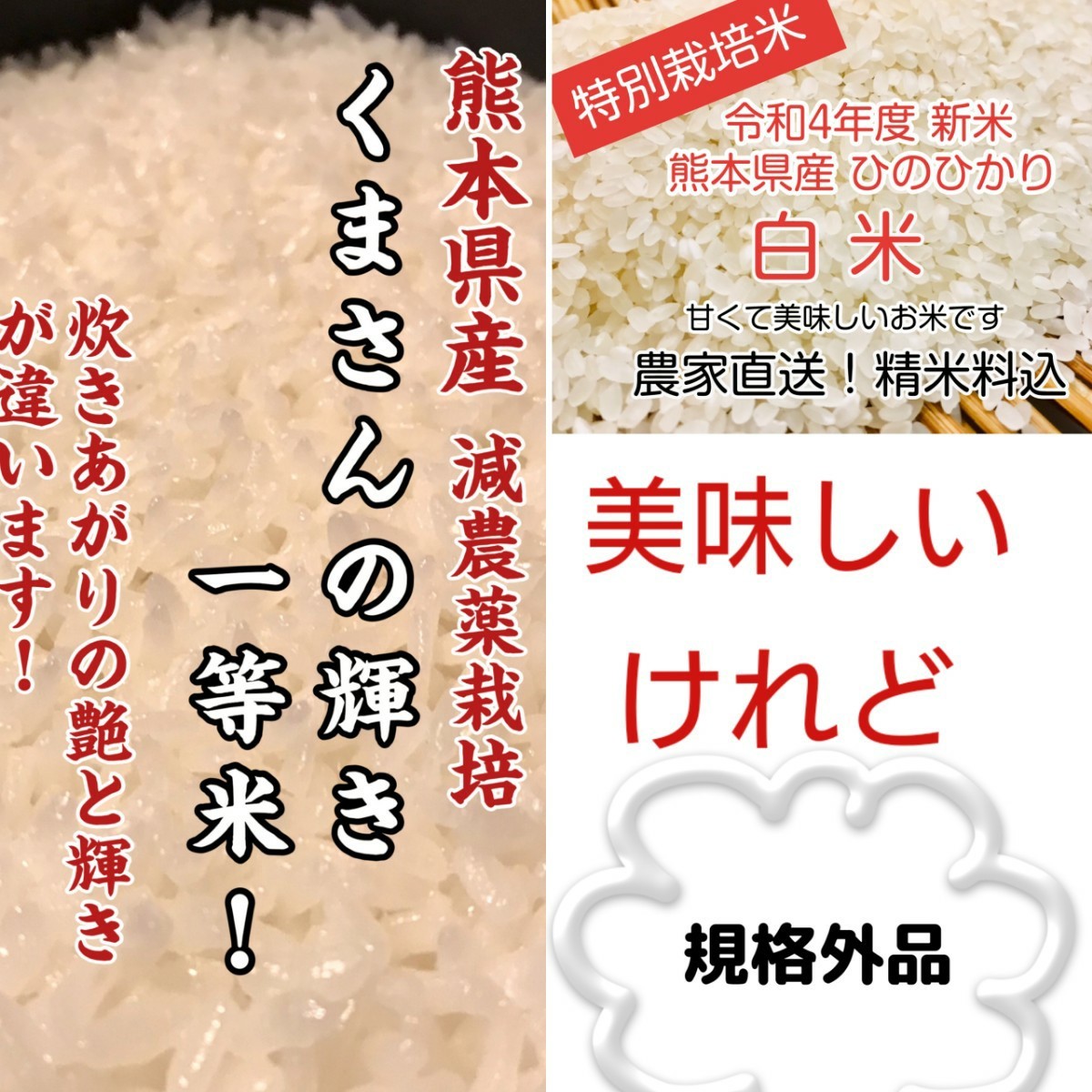 大特価!!】 新米 ヒノヒカリ 令和4年度産 精米済 白米 1.5kg 無農薬