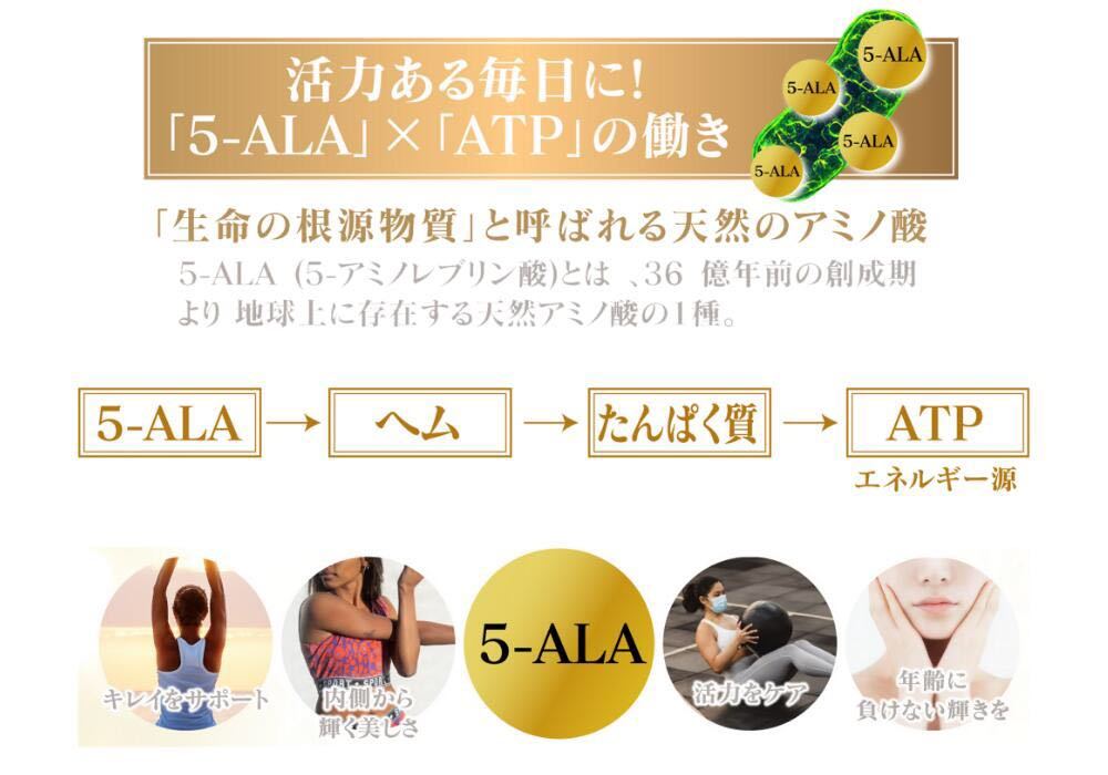 お得な12本セット】デアザフラビン plus 5-ALA W配合 日本製 純度99.9
