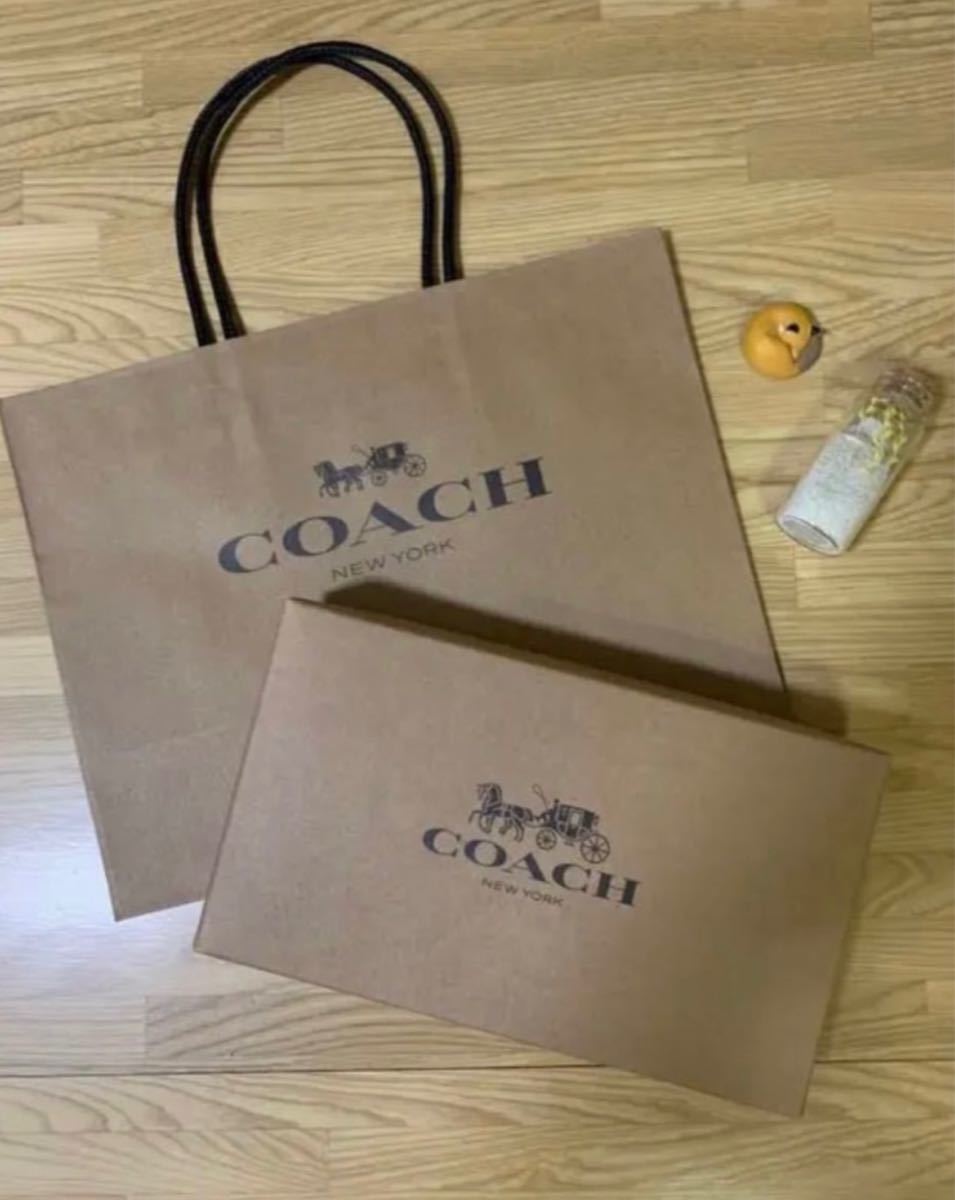 COACH コーチ C8313 シグネチャー ジャガード ストライプ ブルー リストレット 長財布 新品未使用品