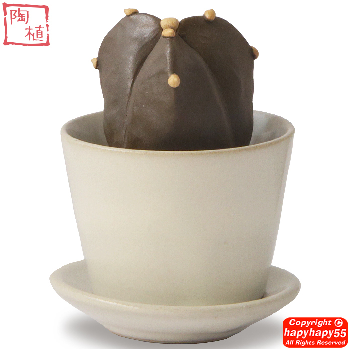 【美品】 ■陶器のサボテン 陶植 作家物 観葉植物 オブジェ インテリア 一輪挿し機能付き◆おしゃれな 益子焼3号鉢+受け皿セット 三角 ランポー玉 その他 【美品】 ■陶器のサボテン 陶植 作家物 観葉植物 オブジェ インテリア 一輪挿し機能付き◆おしゃれな 益子焼3号鉢+受け皿セット 三角 ランポー玉 その他