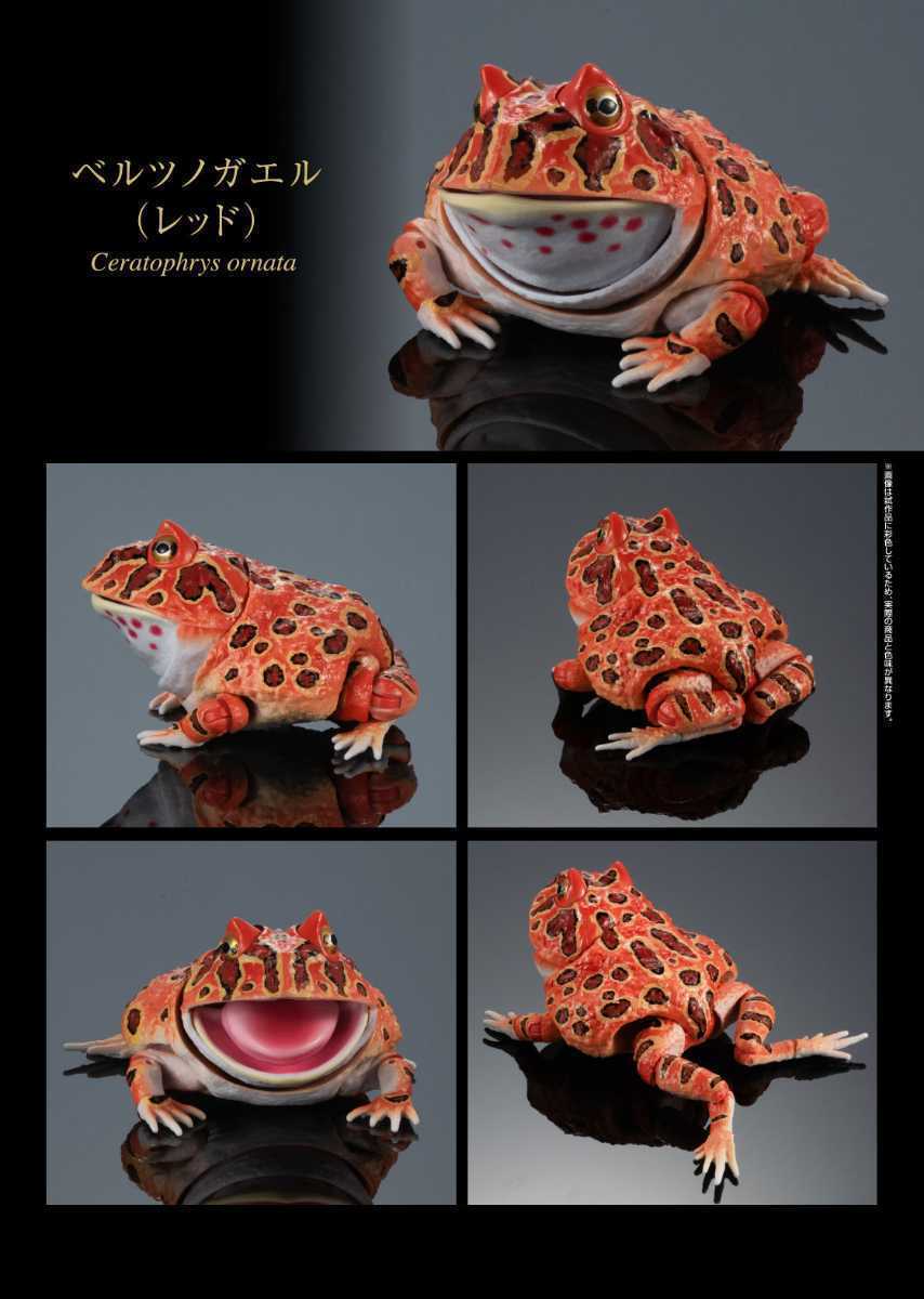 ヤフオク! - いきもの大図鑑 アドバンス ツノガエル ベルツノガエル レ...