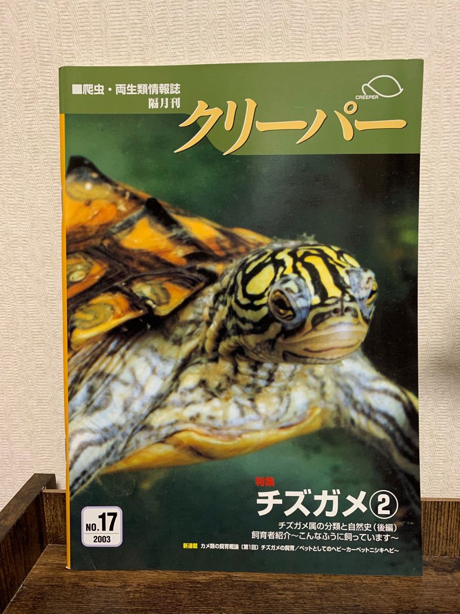 クリーパー チズガメ② No.17 爬虫類・両生類情報誌