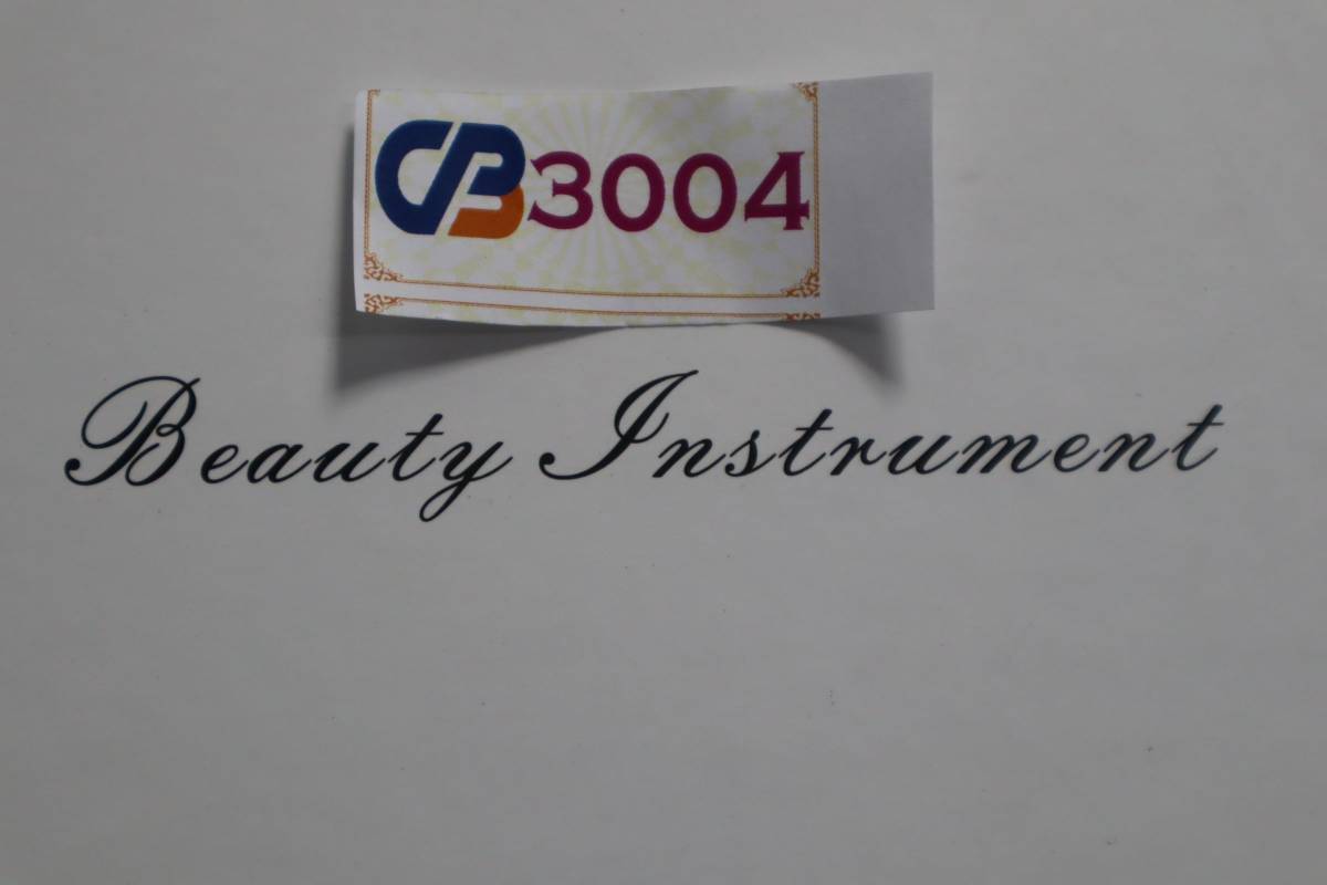 CB3004 K L BEAUTY INSTRUMENT RF 美顔器 ★ 4個セット ★新品_画像9