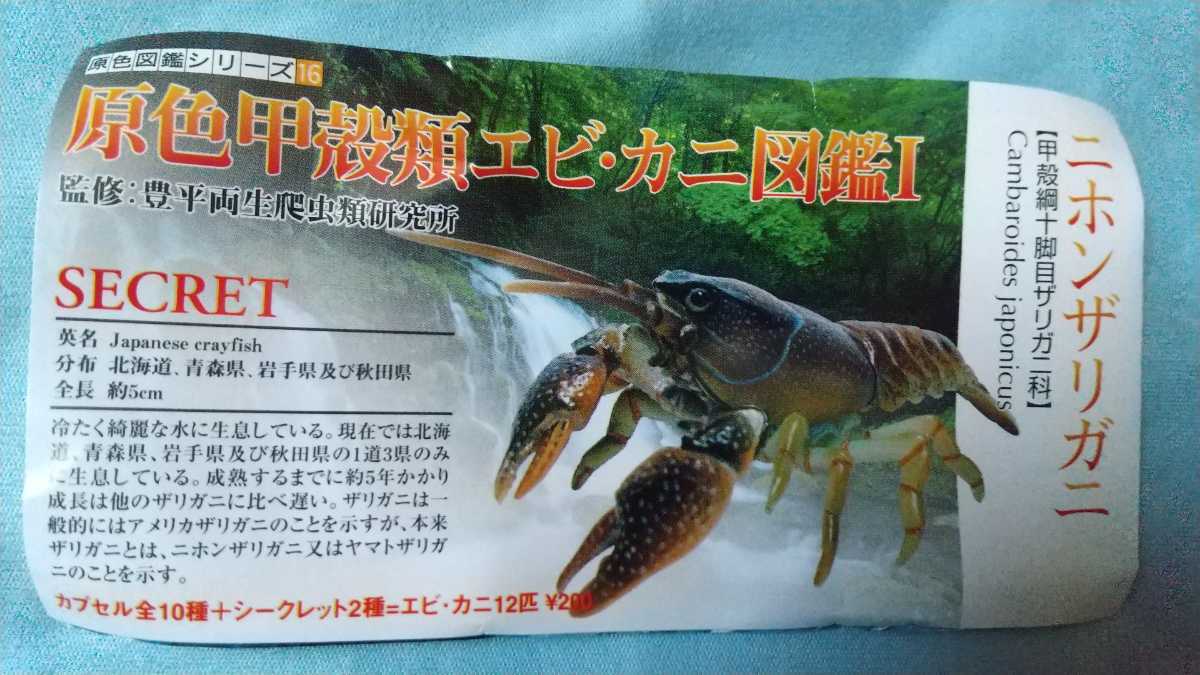 原色甲殻類エビ カニ図鑑i ニホンザリガニ シークレット 生き物 売買されたオークション情報 Yahooの商品情報をアーカイブ公開 オークファン Aucfan Com 原色甲殻類エビ カニ図鑑i ニホンザリガニ シークレット 生き物 売買されたオークション情報 Yahooの商品情報をアーカイブ公開 オークファン Aucfan Com